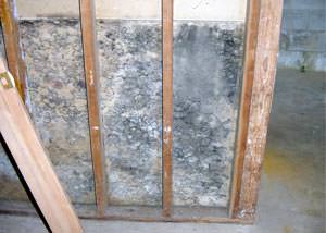 home mold prevention